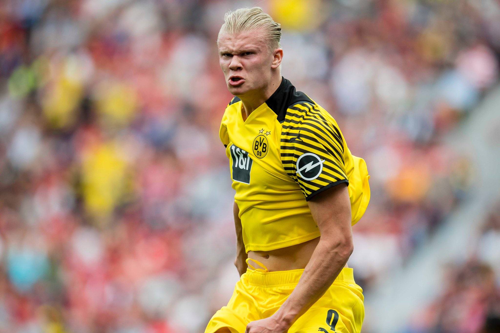 【足总杯抽签】曼联再遇布莱顿，单线红魔的绝佳机会！（足总杯抽签出炉：曼联再战布莱顿，单线红魔迎冲冠良机）